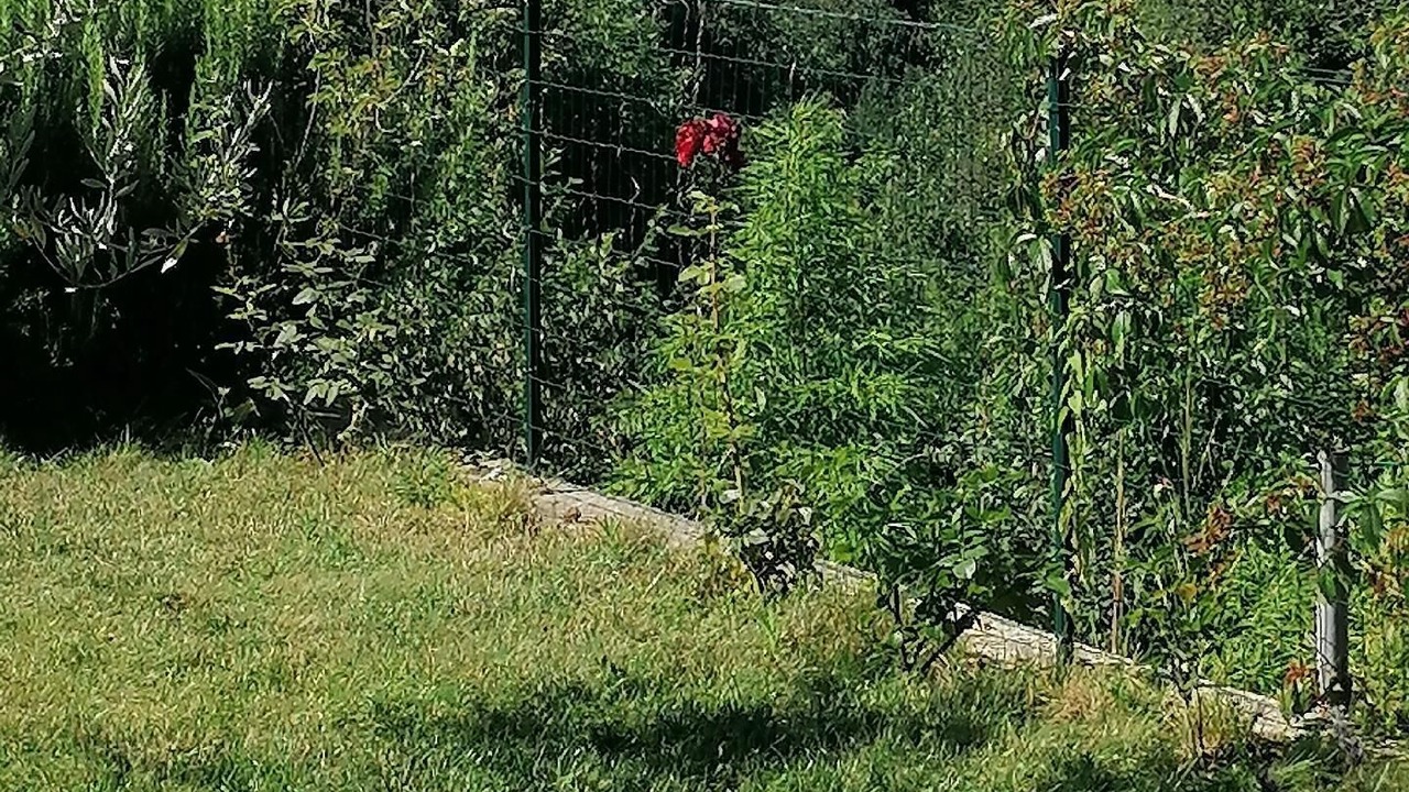 Photo of Outdoor in Rubesi