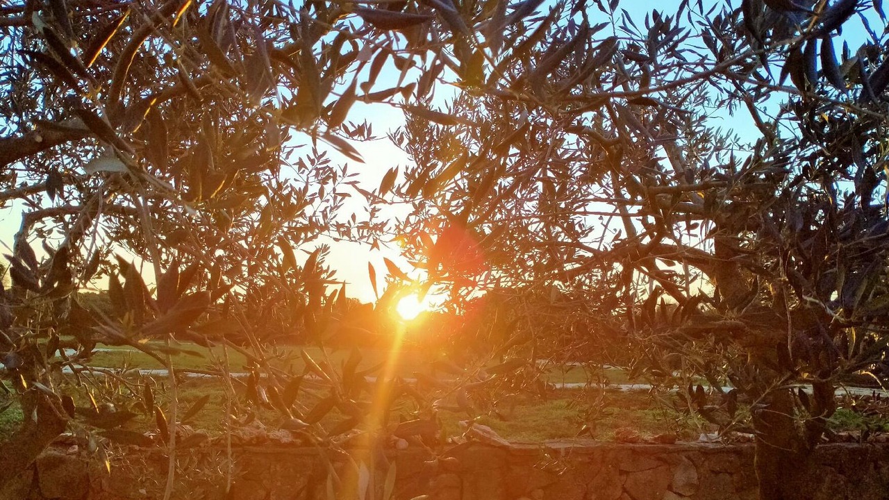 Photo of Outdoor in Sisan
