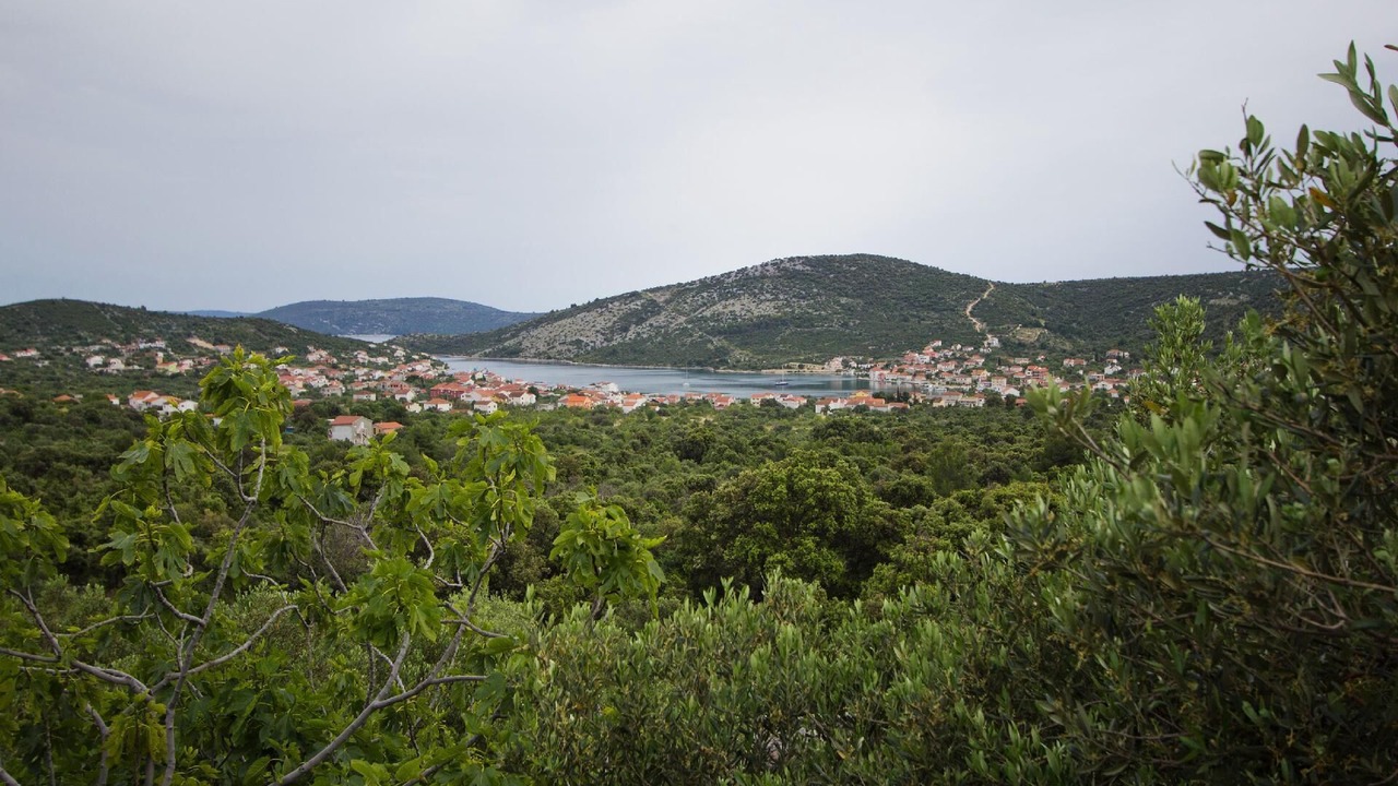 Photo of Others in Vinisce