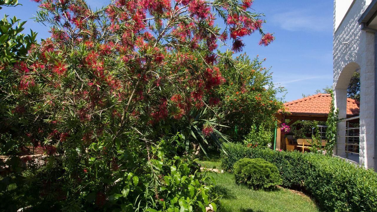 Photo of Outdoor in Grebastica