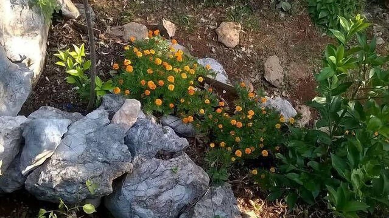Photo of Outdoor in Grubine
