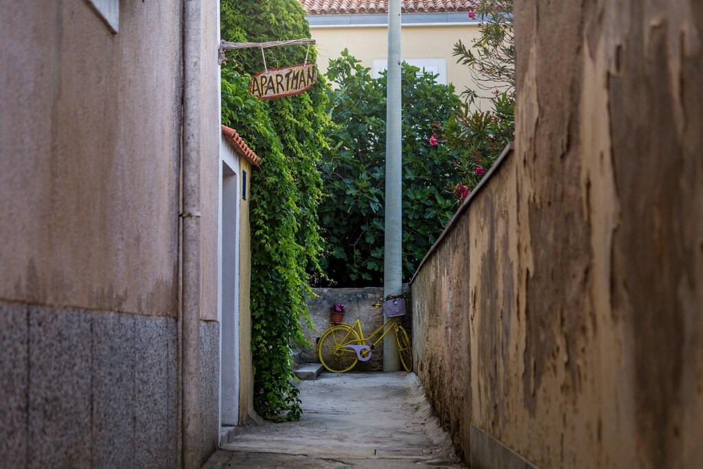 Photo of Others in Cove Murtar