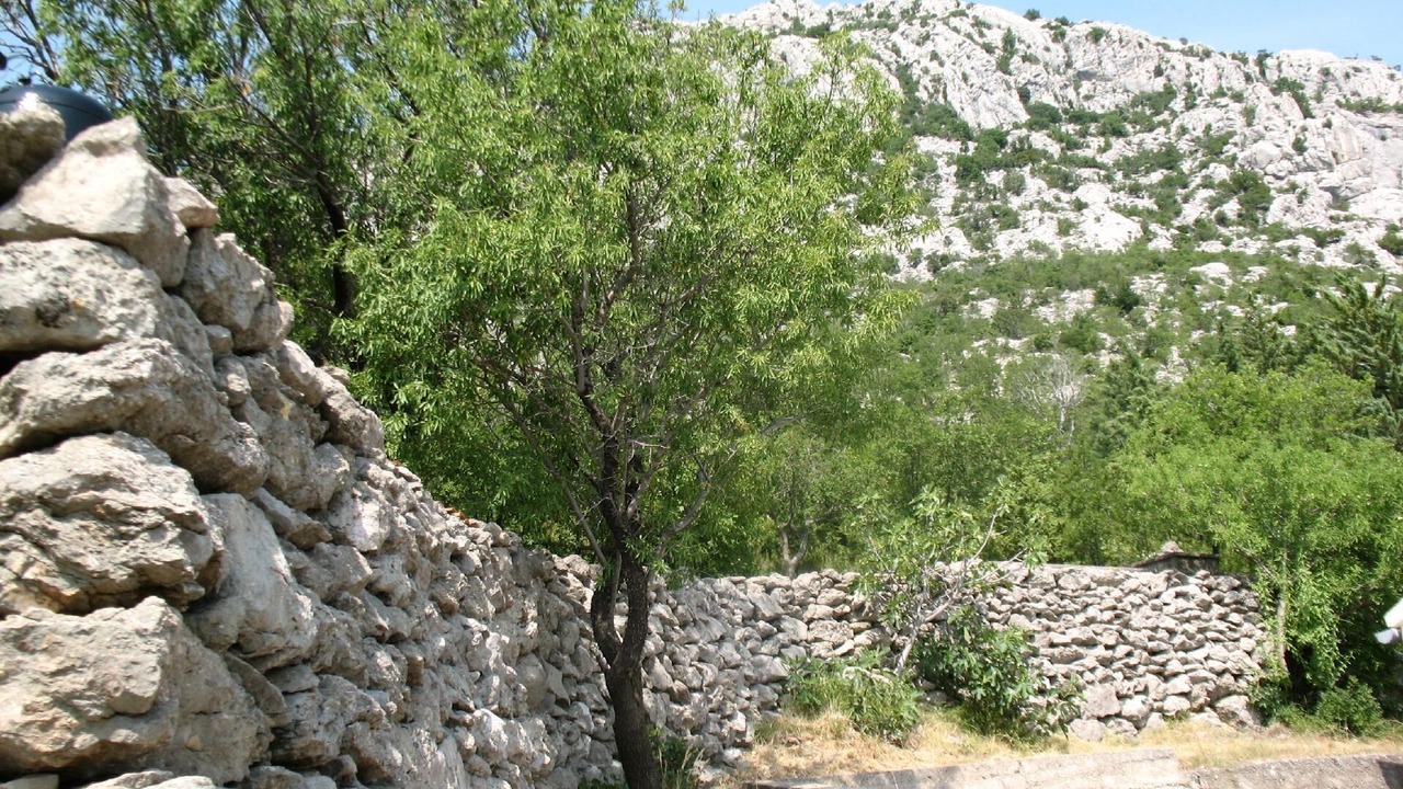 Photo of Outdoor in Jablanac