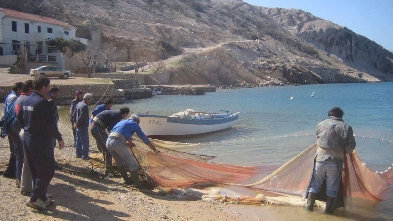 Photo of Others in Metajna