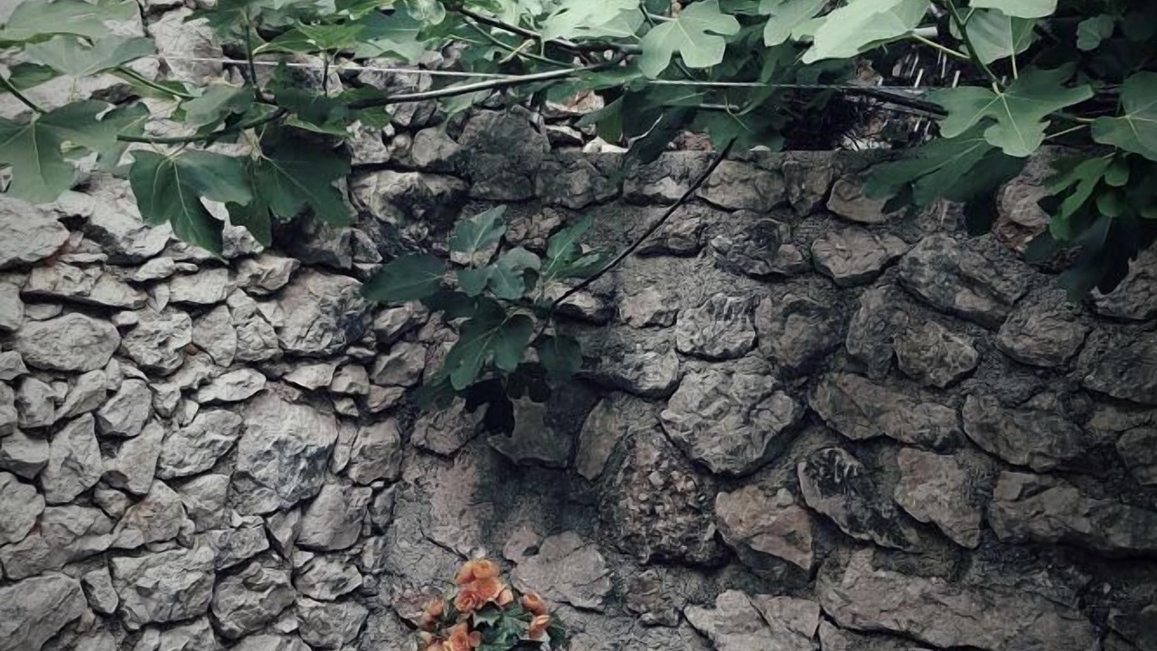 Photo of Outdoor in Metajna