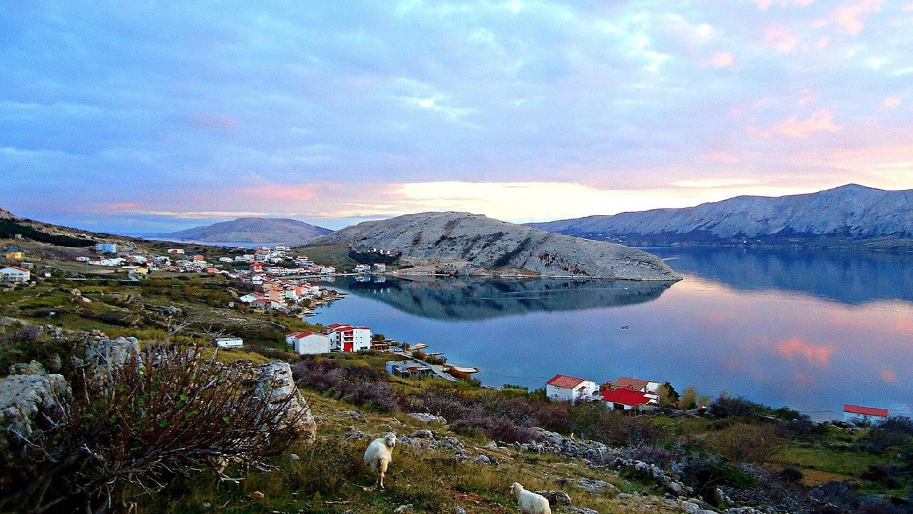 Photo of Others in Metajna