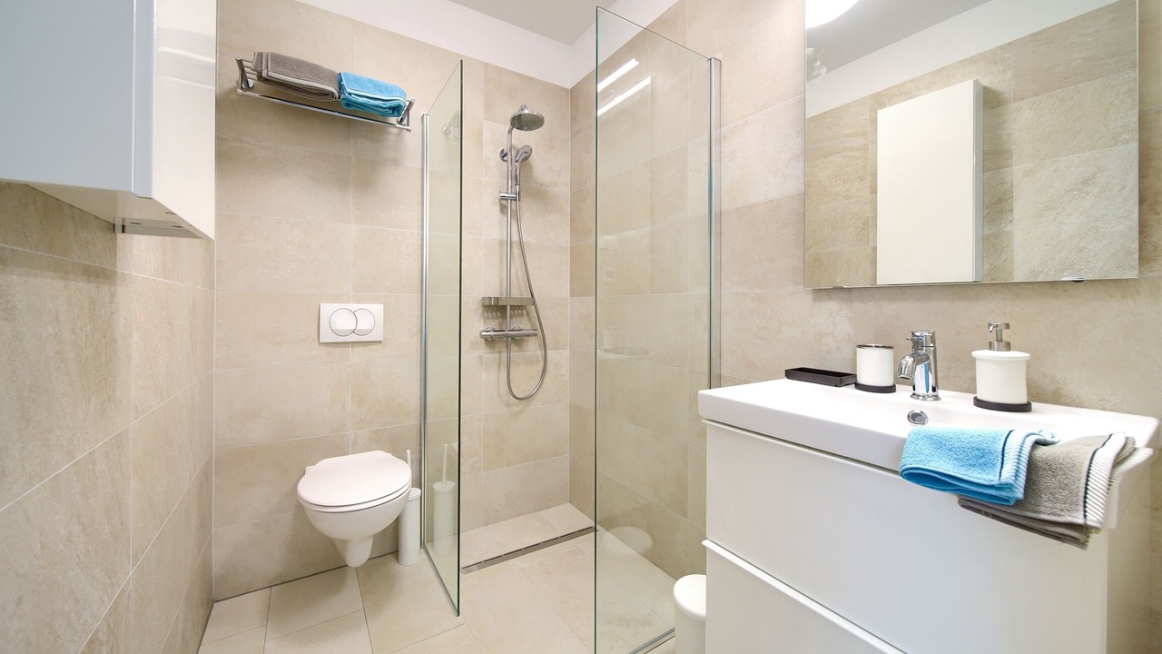 Photo of Bathroom in Milcetici
