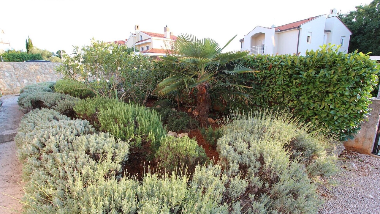Photo of Outdoor in Milcetici