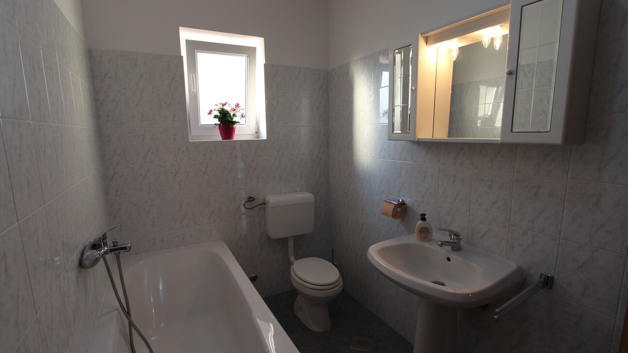Photo of Bathroom in Milcetici