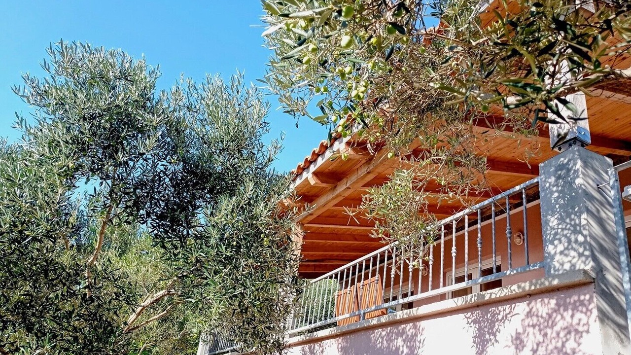 Photo of Outdoor in Miholascica