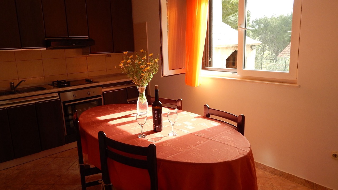 Photo of Kitchen in Cove Osibova (Milna)