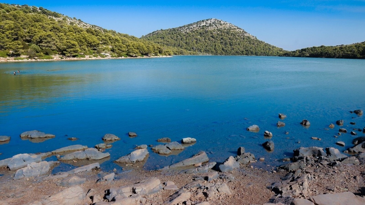 Photo of Others in Luka