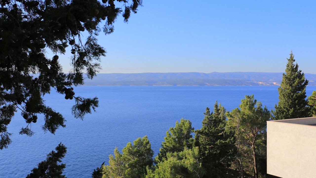 Photo of Others in Marusici