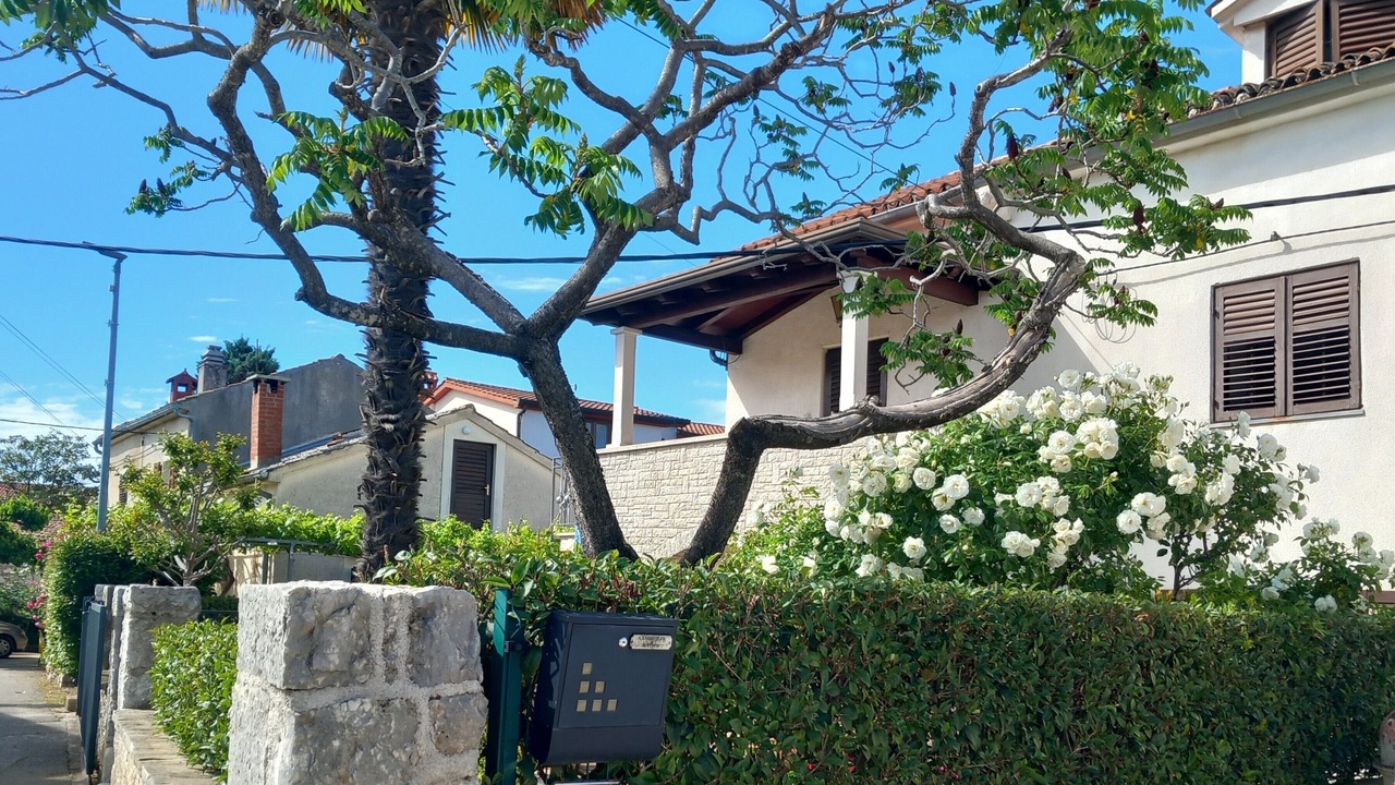 Photo of Outdoor in Funtana