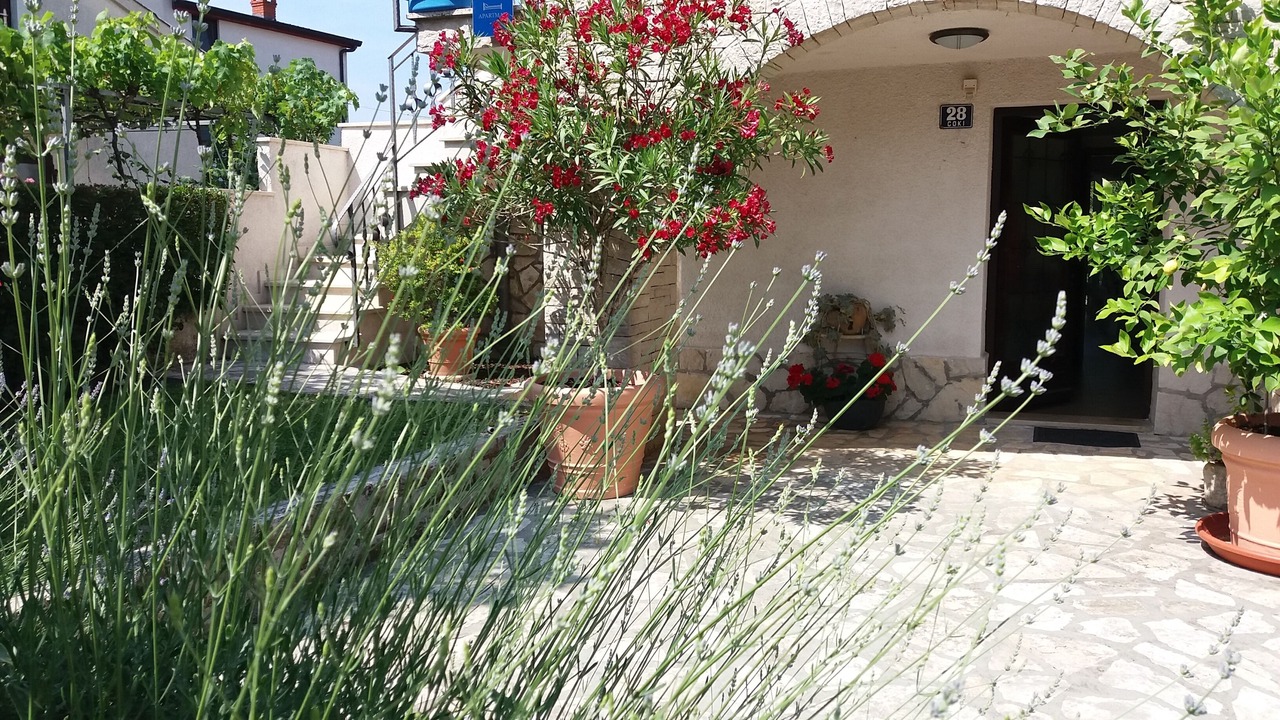 Photo of Outdoor in Funtana