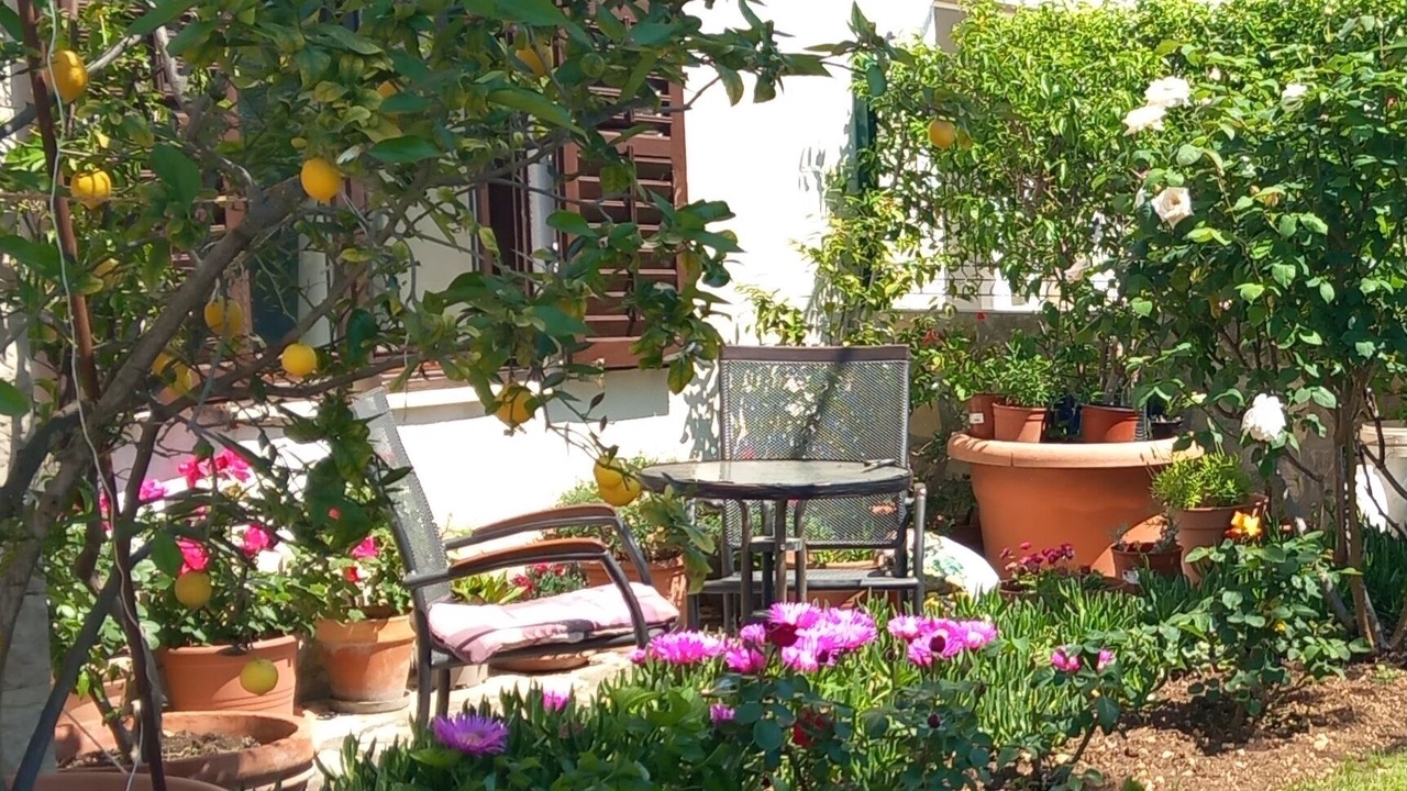 Photo of Patio Balcony in Funtana