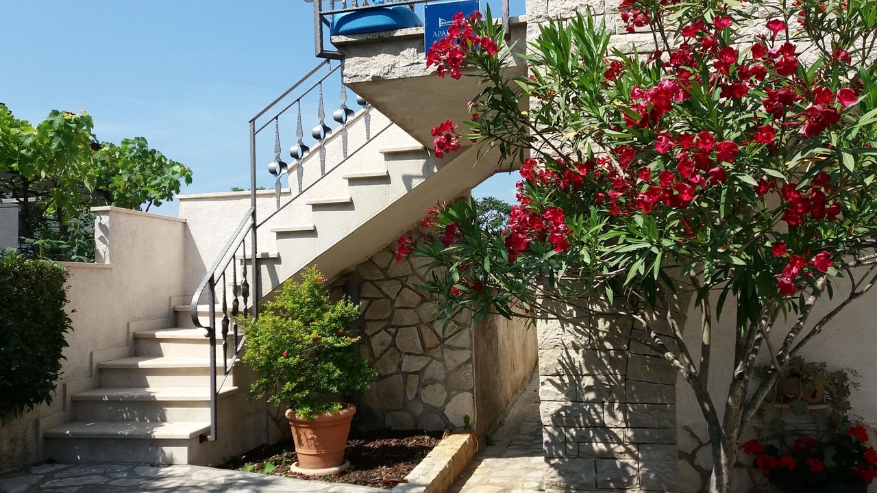 Photo of Outdoor in Funtana
