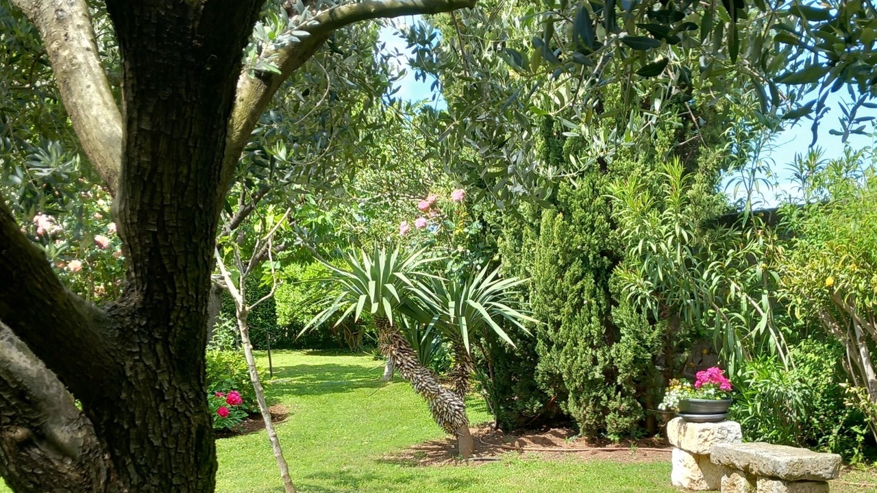 Photo of Outdoor in Funtana