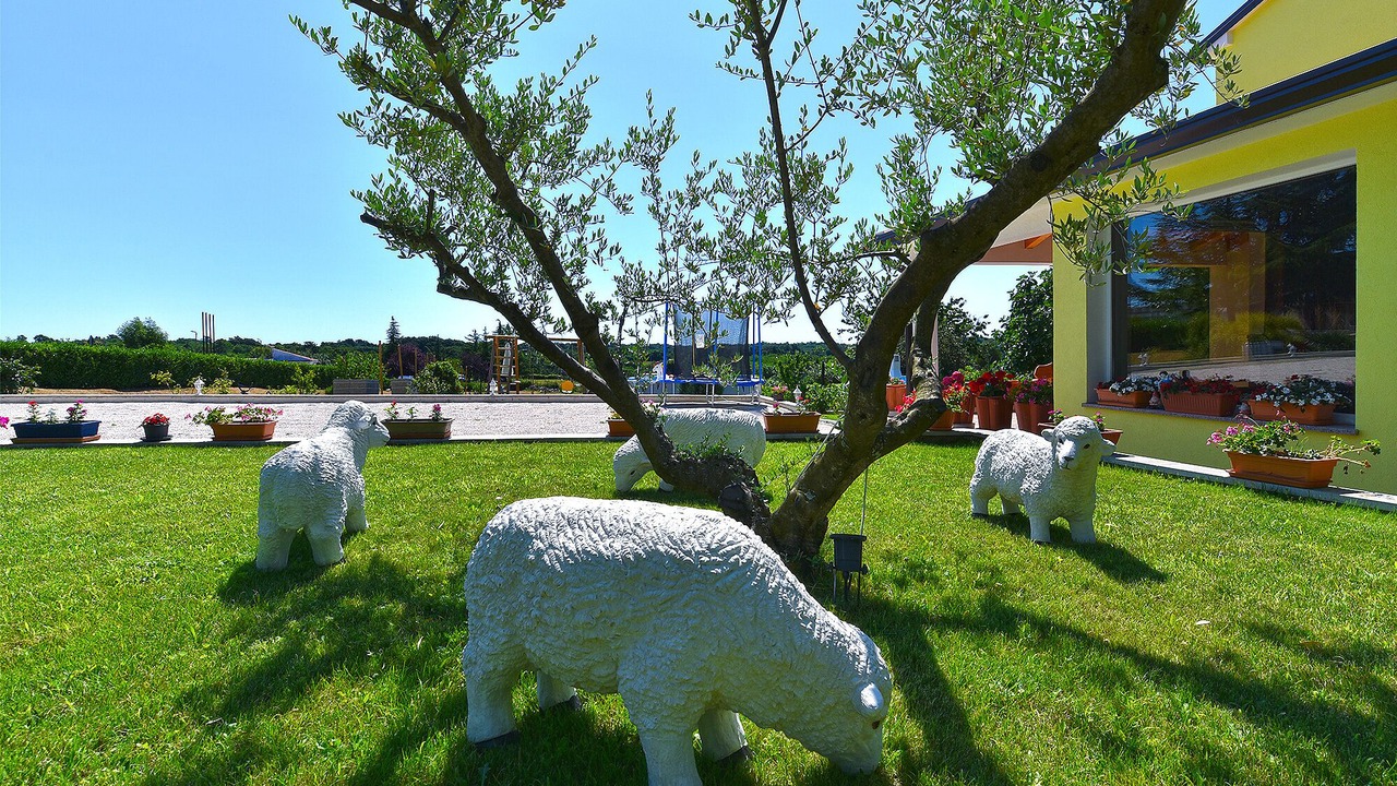 Photo of Outdoor in Zminj