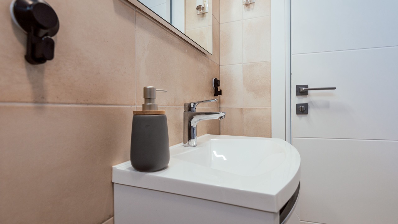 Photo of Bathroom in Milcetici