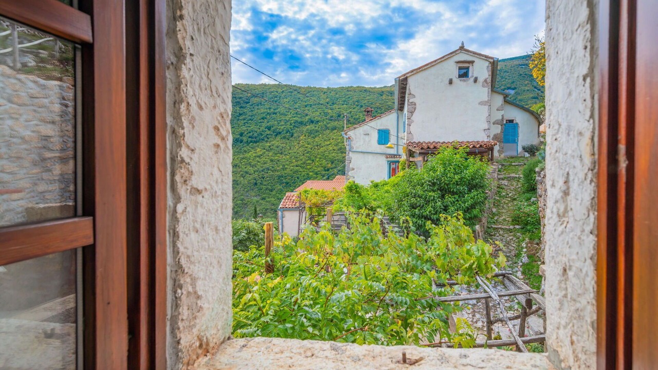 Photo of Bedroom in Sucici