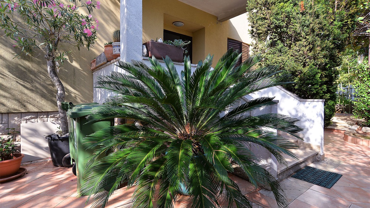 Photo of Outdoor in Valbandon