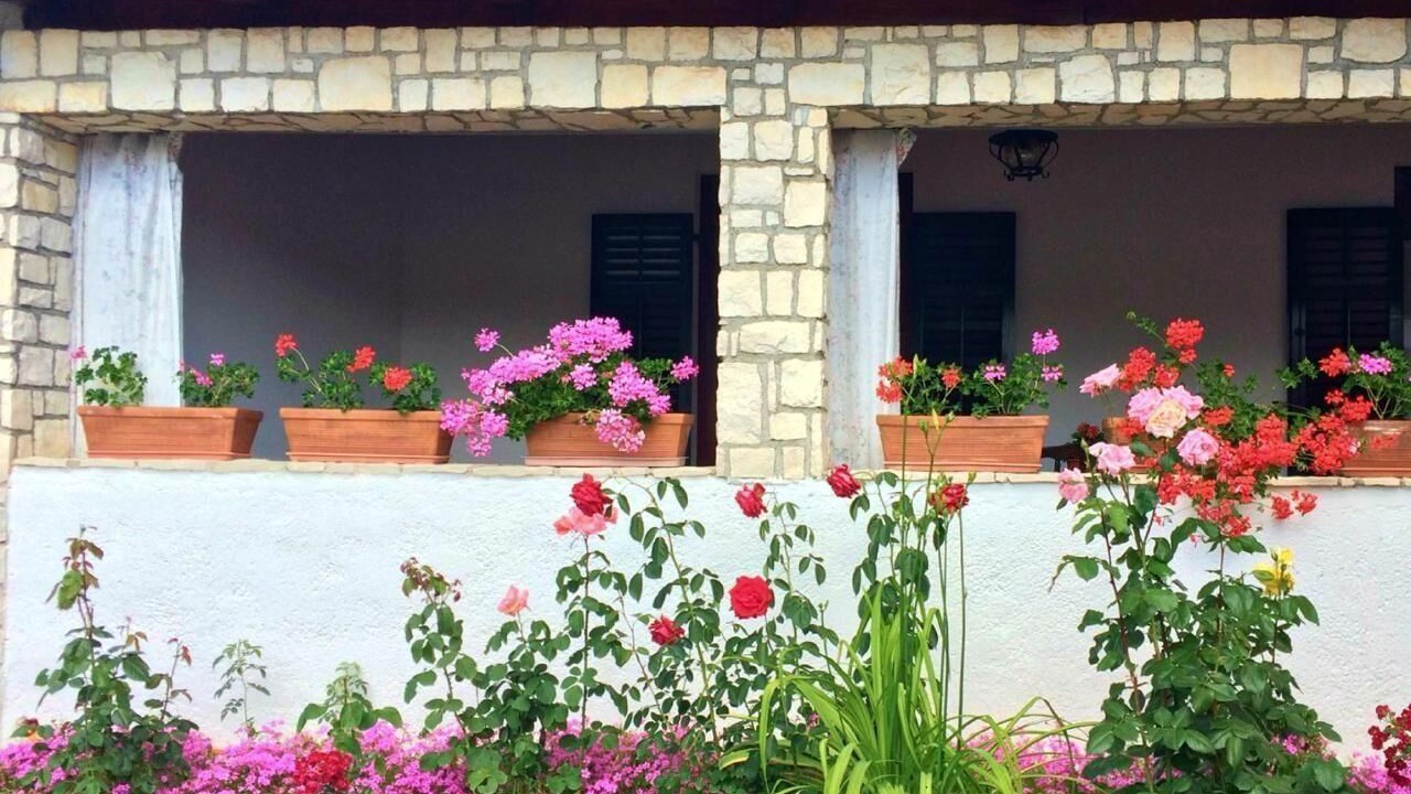 Photo of Outdoor in Zambratija