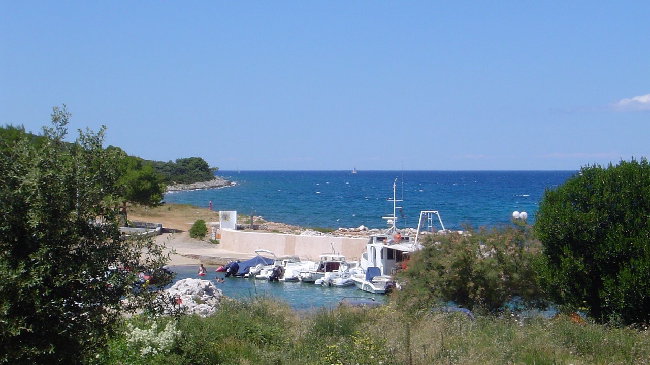 Photo of Others in Muline