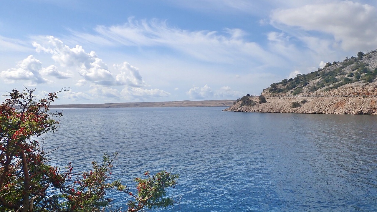 Photo of Others in Starigrad