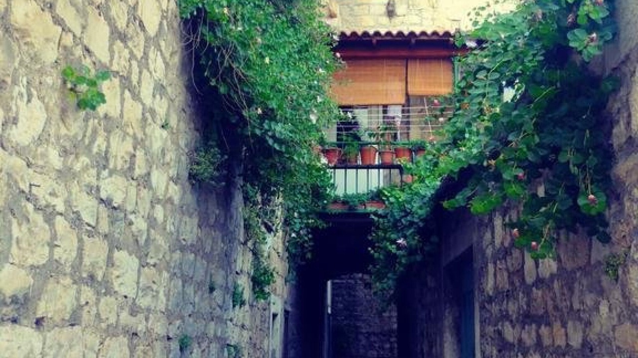 Photo of Outdoor in Kastel Sucurac