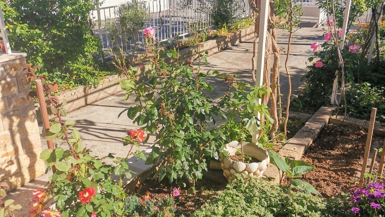 Photo of Outdoor in Vinisce