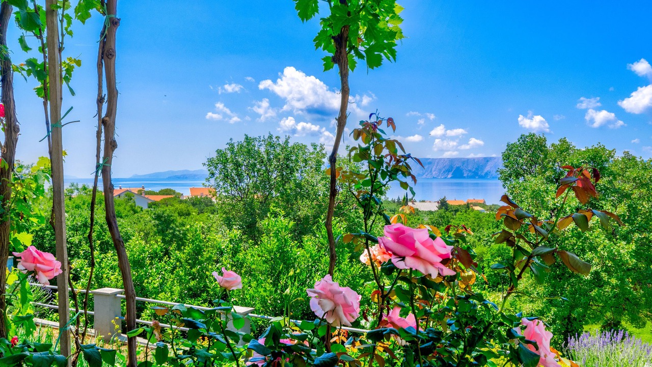 Photo of Outdoor in Povile
