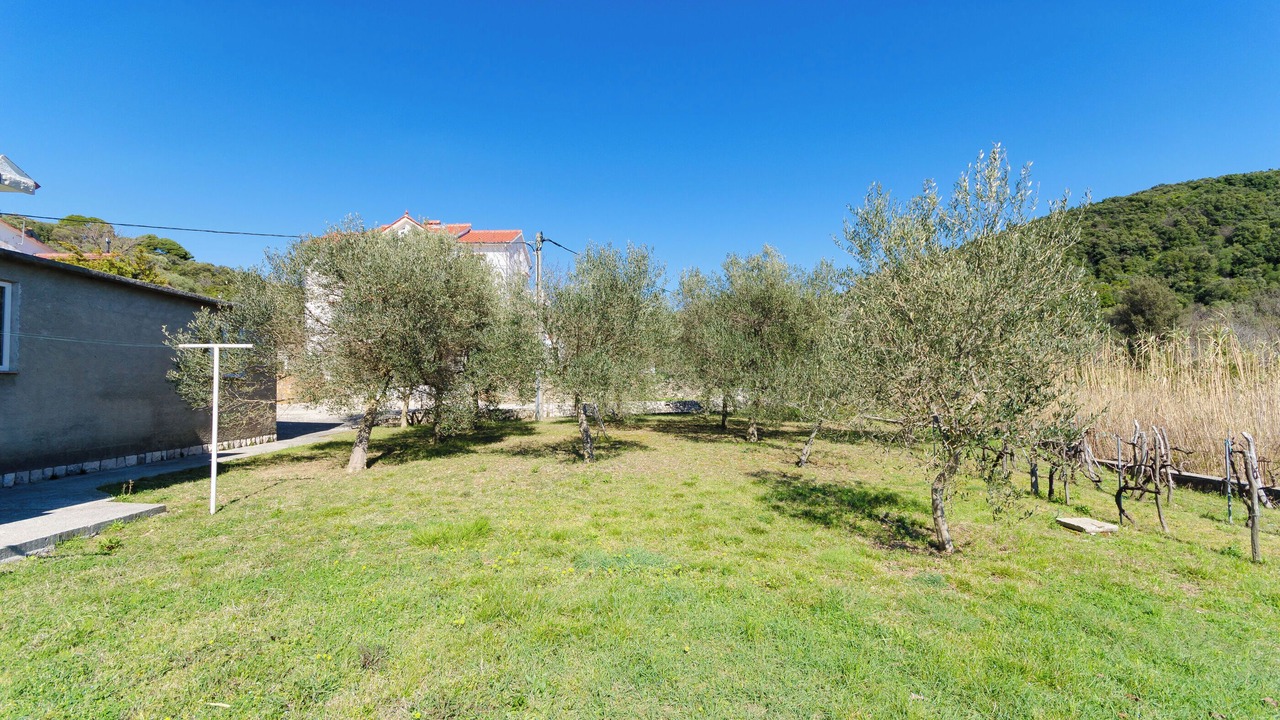 Photo of Outdoor in Kampor