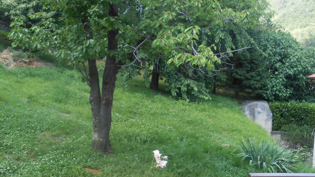 Photo of Outdoor in Obrs