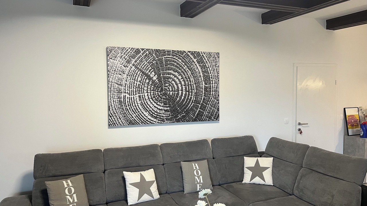 Photo of Livingroom in Cizici