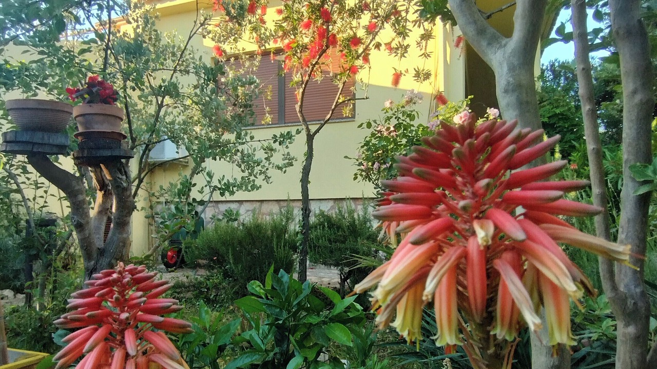 Photo of Outdoor in Sveti Filip i Jakov