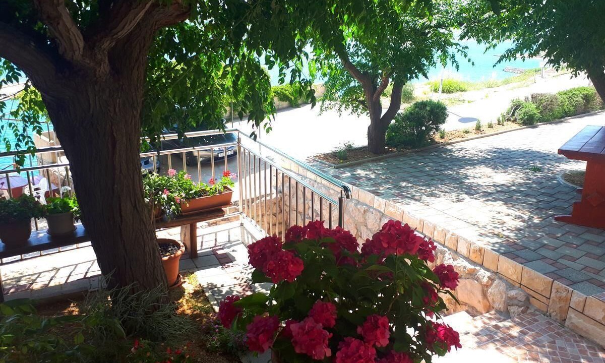 Photo of Outdoor in Zubovici
