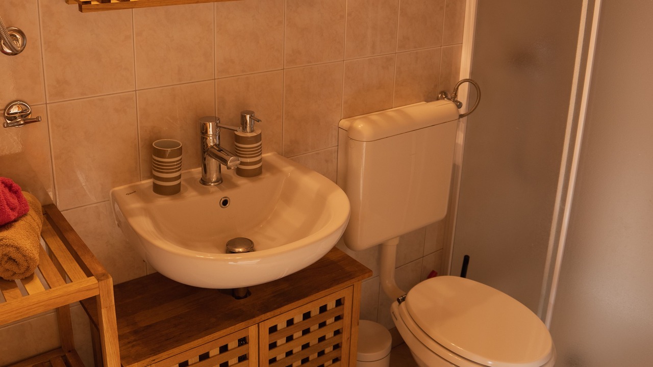 Photo of Bathroom in Radovljica