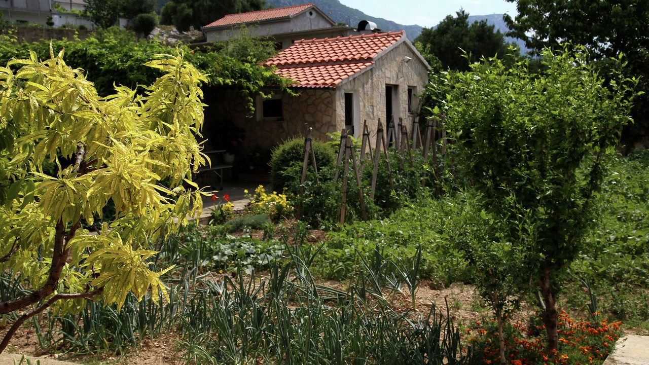 Photo of Outdoor in Kastel Stari