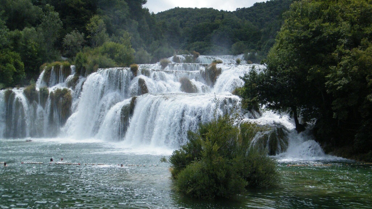 Photo of Others in Seline
