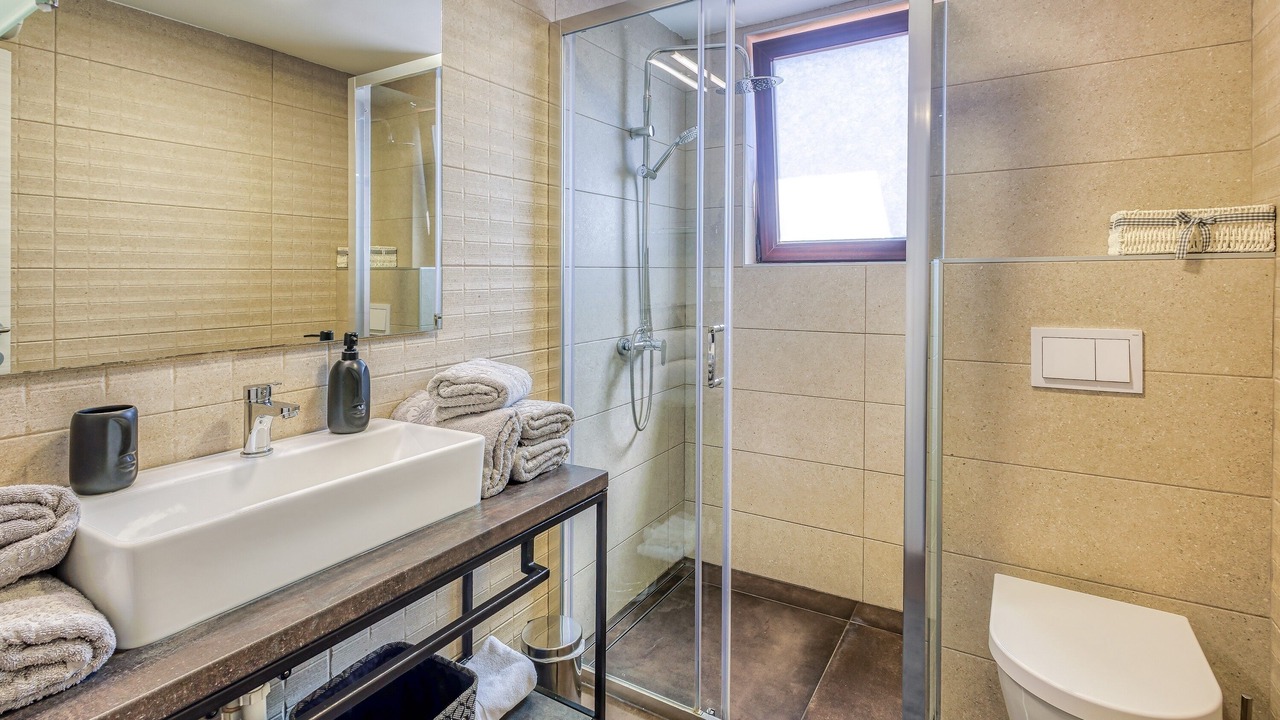 Photo of Bathroom in Milovcici