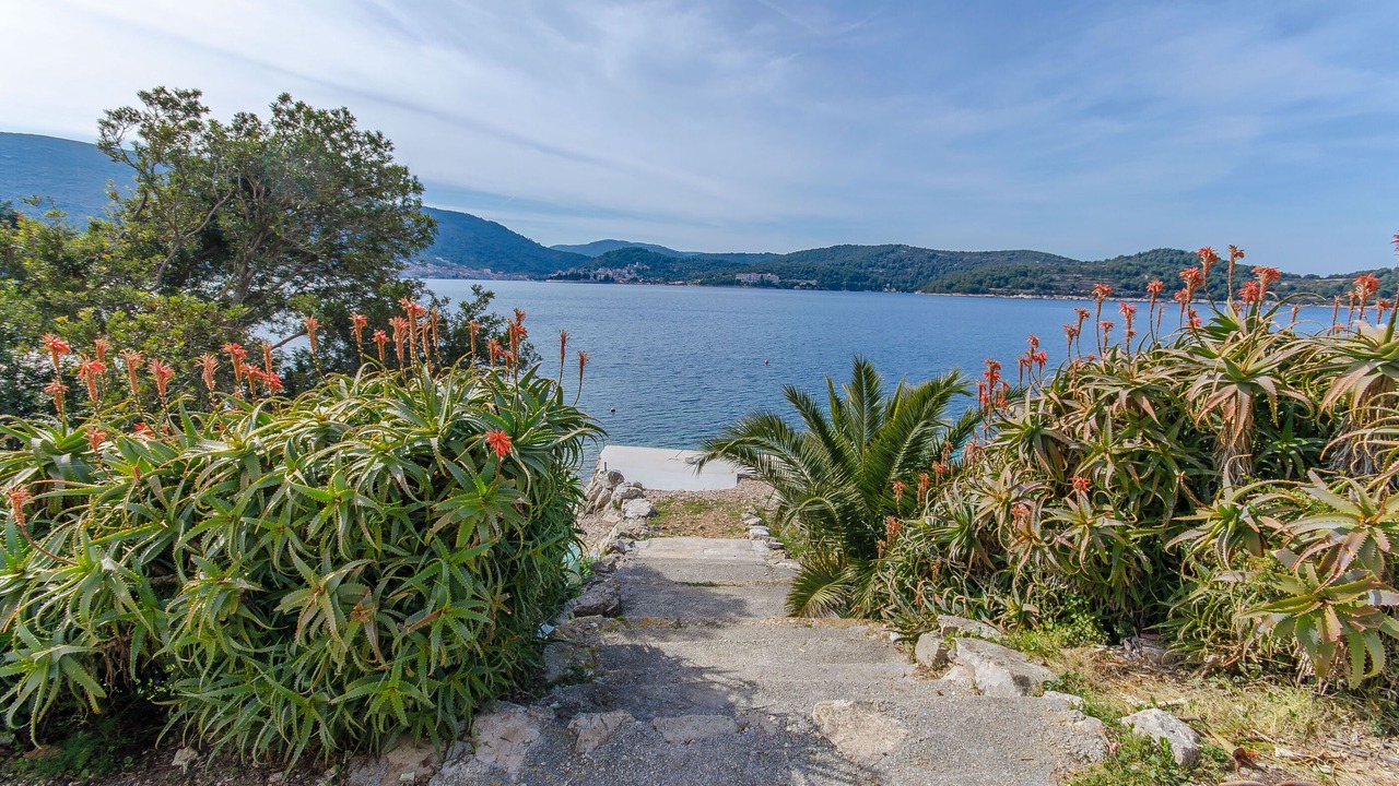 Photo of Outdoor in Vis
