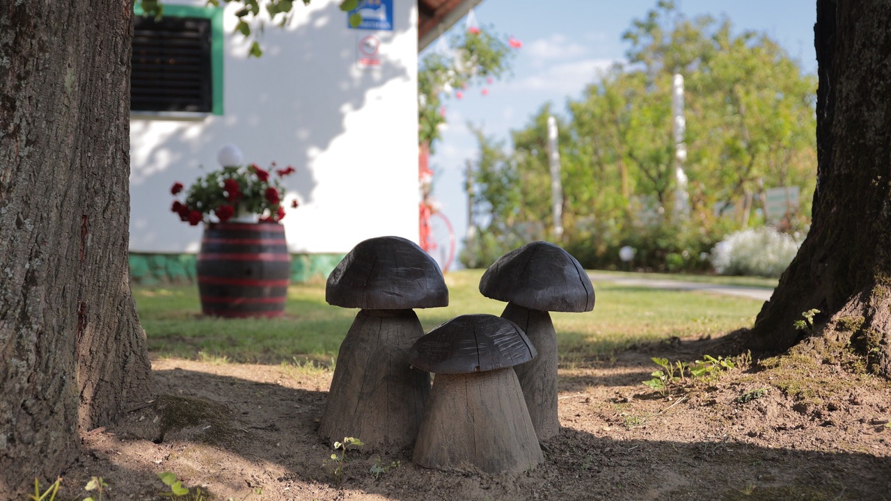 Photo of Outdoor in Durdevac