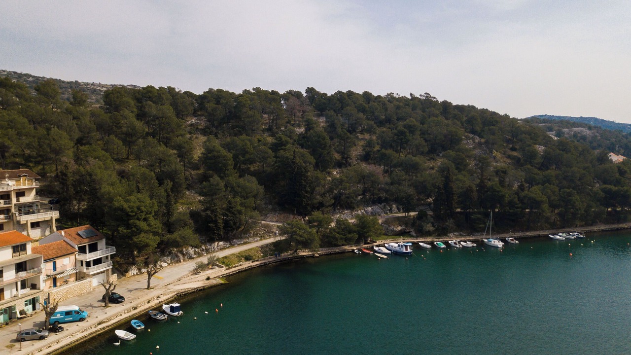 Photo of Others in Zaton
