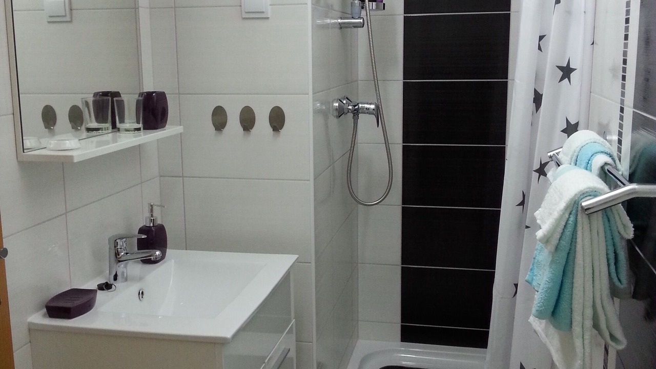 Photo of Bathroom in Osijek