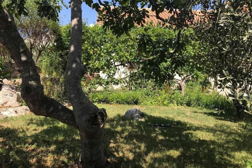 Photo of Outdoor in Lukoran