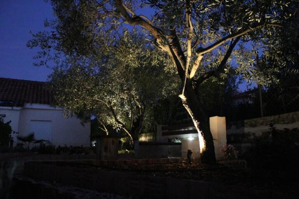 Photo of Outdoor in Lukoran