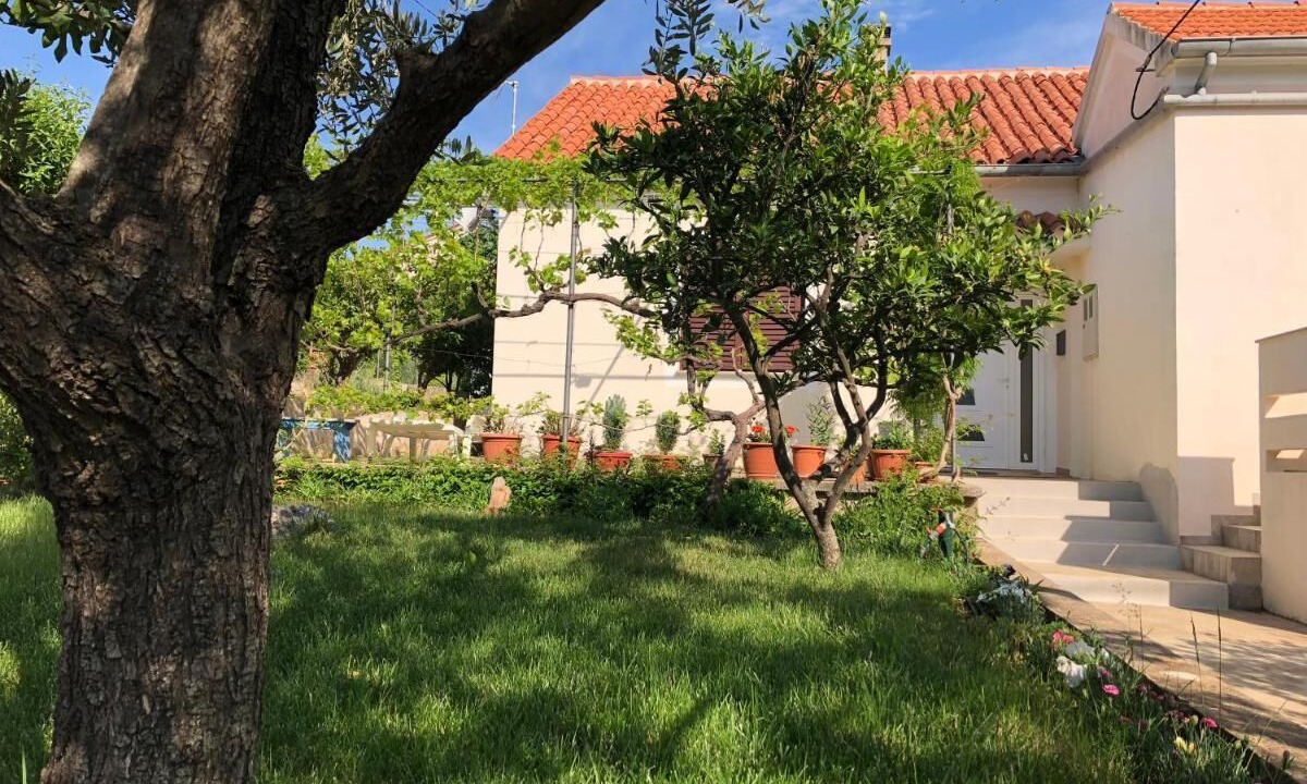 Photo of Outdoor in Lukoran
