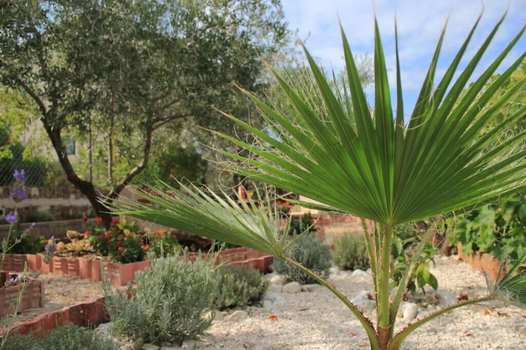 Photo of Outdoor in Lukoran