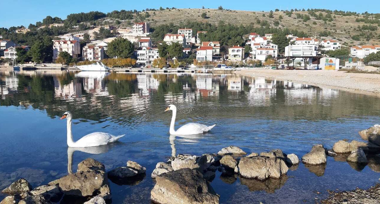 Photo of Outdoor in Zaboric